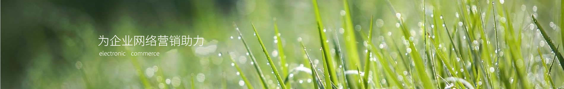 ݸũҵƼ޹˾